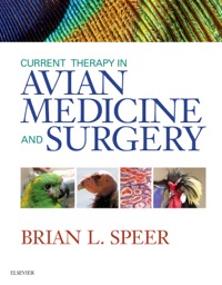 copertina di Current Therapy in Avian Medicine and Surgery