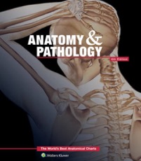 copertina di Anatomy and Pathology: The World' s Best Anatomical Charts Book