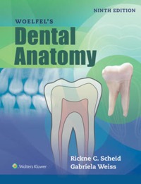 copertina di Woelfel' s Dental Anatomy -  Its Relevance to Dentistry