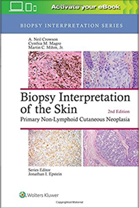 copertina di Biopsy Interpretation of the Skin