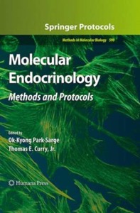 copertina di Molecular Endocrinology - Methods and Protocols