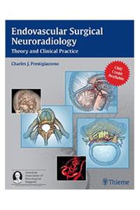 copertina di Endovascular Surgical Neuroradiology - Theory and Clinical Practice