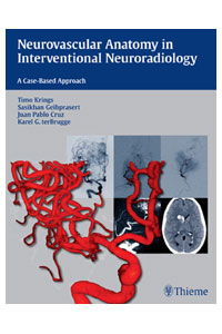 copertina di Neurovascular Anatomy in Interventional Neuroradiology: A Case - Based Approach