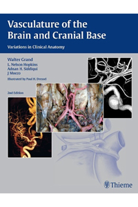 copertina di Vasculature of the Brain and Cranial Base