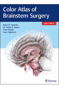 copertina di Color Atlas of Brainstem Surgery