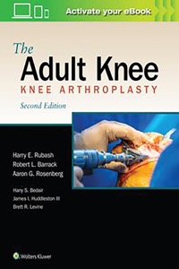 copertina di The Adult Knee