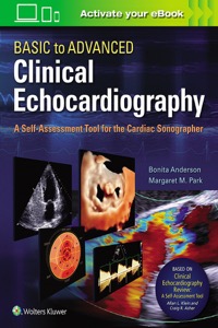 copertina di Basic to Advanced Clinical Echocardiography - A Self - Assessment Tool for the Cardiac ...