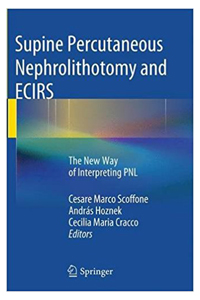 copertina di Supine Percutaneous Nephrolithotomy and ECIRS - The New Way of Interpreting PNL