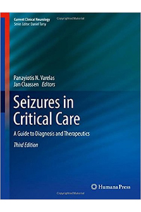 copertina di Seizures in Critical Care - A Guide to Diagnosis and Therapeutics