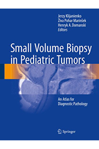 copertina di Small Volume Biopsy in Pediatric Tumors - An Atlas for Diagnostic Pathology