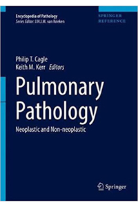 copertina di Pulmonary Pathology - Neoplastic and Non - Neoplastic