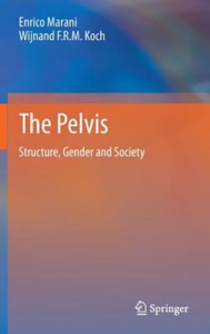 copertina di The Pelvis: Structure, Gender and Society