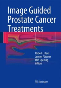 copertina di Image Guided Prostate Cancer Treatments