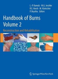 copertina di Handbook of Burns - Reconstruction and Rehabilitation