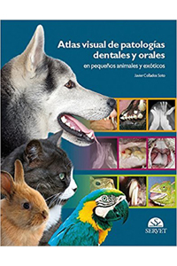 copertina di Atlas visual de patologias dentales y orales