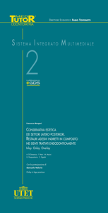copertina di DVD MTO 2 Conservativa estetica dei settori latero - posteriori - Restauri adesivi ...