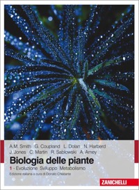 copertina di Biologia delle piante - Evoluzione sviluppo metabolismo