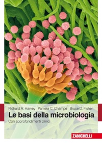 copertina di Le Basi della Microbiologia - Con Approfondimenti Clinici 