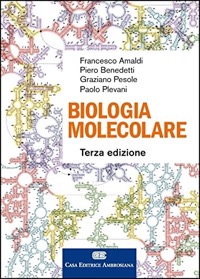copertina di Biologia molecolare ( contenuti online inclusi )