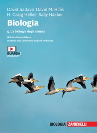 copertina di Biologia - La biologia degli animali ( con  versione digitale e risorse multimediali ...