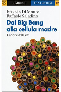 copertina di Dal Big Bang alla cellula madre - L' origine della vita