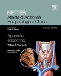 copertina di Netter - Atlante di anatomia  fisiopatologia e clinica - Apparato endocrino