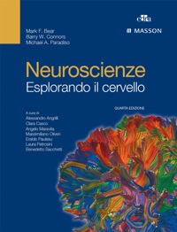 copertina di Neuroscienze - Esplorando il cervello ( contenuti online inclusi )
