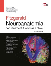 copertina di Fitzgerald - Neuroanatomia con riferimenti funzionali e clinici - accesso on line ...