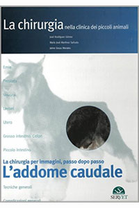 copertina di L' addome caudale - La chirurgia nella clinica dei piccoli animali - La chirurgia ...