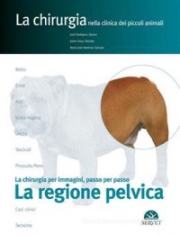 copertina di La regione pelvica - La chirurgia nella clinica dei piccoli animali - La chirurgia ...