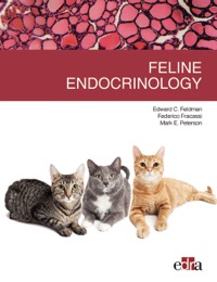 copertina di Feline endocrinology