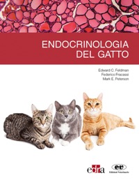 copertina di Endocrinologia del gatto