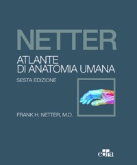 copertina di Atlante di Anatomia Umana Netter 6ed. - Formato Economico in Brossura ( Penultima ...