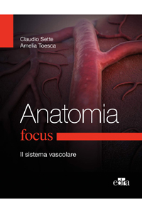 copertina di Focus Anatomia - Il sistema vascolare