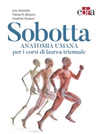 copertina di Sobotta - Anatomia Umana per i corsi di laurea triennale