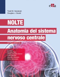 copertina di Nolte - Anatomia del sistema nervoso centrale
