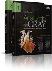 copertina di Anatomia del Gray - Le basi anatomiche per la pratica clinica - Contenuti online ...