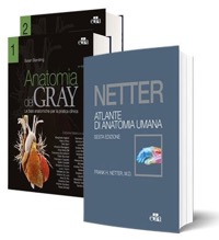 copertina di Cofanetto Netter - Gray : L' anatomia ( Trattato di anatomia umana, 42 edizione 2022 ...