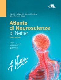copertina di Atlante di neuroscienze di Netter