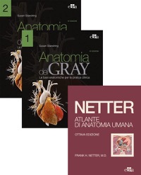 copertina di Netter - Gray : L' Anatomia ( Trattato di anatomia umana , 42a Edizione 2022 + Atlante ...