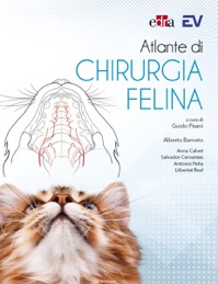 copertina di Atlante di chirurgia felina