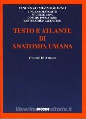 copertina di Anatomia dell' uomo - Testo e atlante