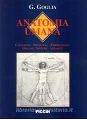 copertina di Anatomia umana - Citologia - Istologia - Embriologia - Organi - Sistemi - Apparati