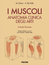 copertina di I Muscoli - Anatomia clinica degli arti - Schede illustrative