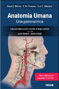 copertina di Anatomia Umana - una panoramica