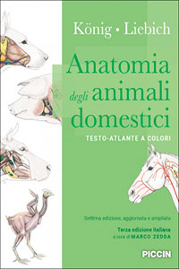 copertina di Anatomia degli animali domestici. Testo - Atlante a colori