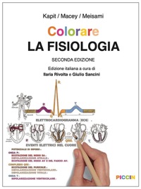 copertina di Colorare La Fisiologia