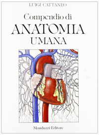 copertina di Compendio di anatomia umana