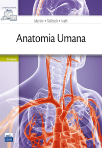 copertina di Anatomia Umana ( comprende versione e contenuti digitali )
