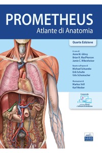 copertina di Prometheus - Atlante di Anatomia ( include Versione digitale e Software di simulazione ...